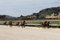 2015_Race 6 - 07